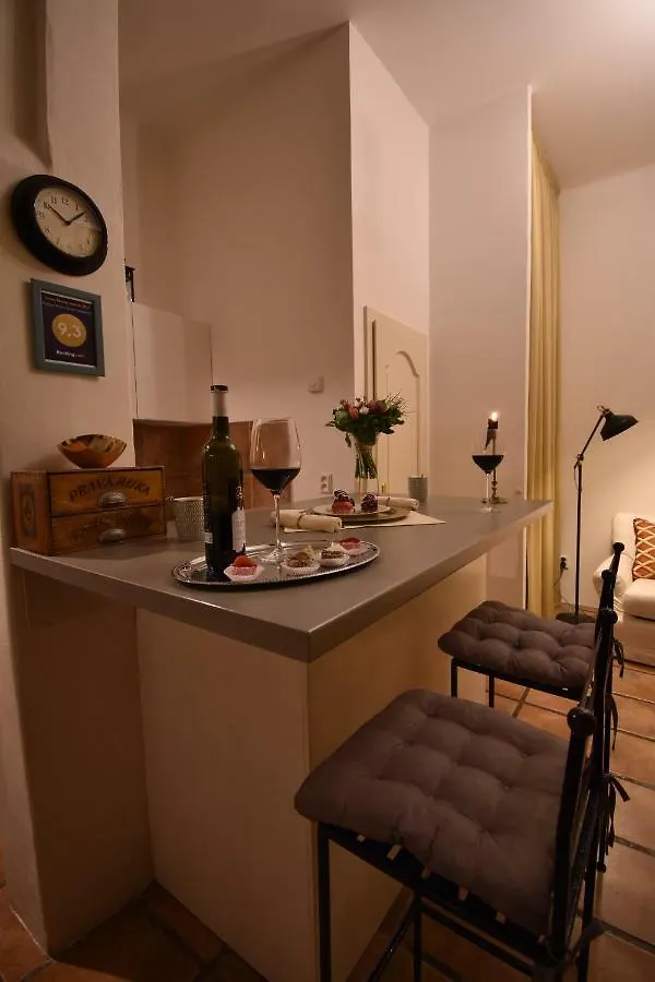 Prague Down Town Apartment